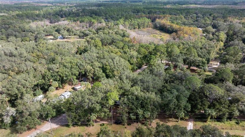 Picture of 11600 NE 144Th Place, Fort Mc Coy FL 32134