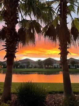 Picture of 7001 Interbay Boulevard Unit 273, Tampa, FL 33616