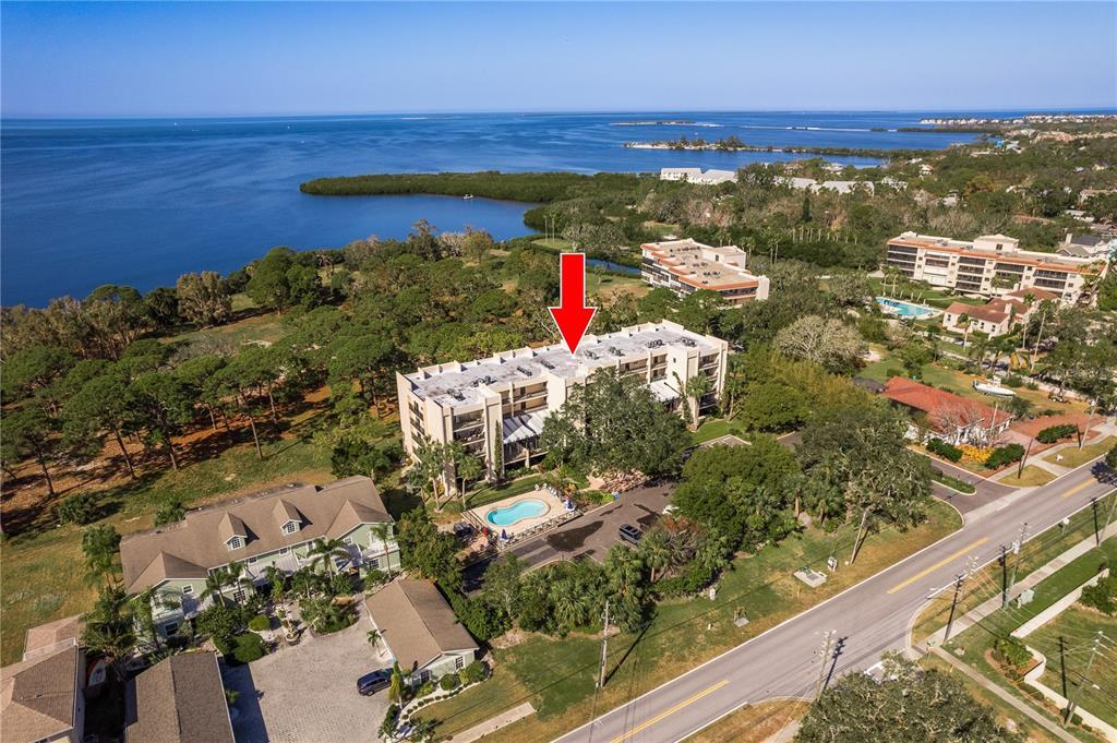 Picture of 206 Tarpon Point, Tarpon Springs, FL 34689