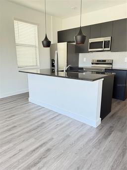 Picture of 3247 Sustainable Way, Kissimmee, FL 34747