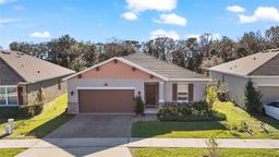 Picture of 29549 Caspian Street, Leesburg, FL 34748