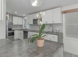 Picture of 1428 Illinois Avenue, Palm Harbor, FL 34683