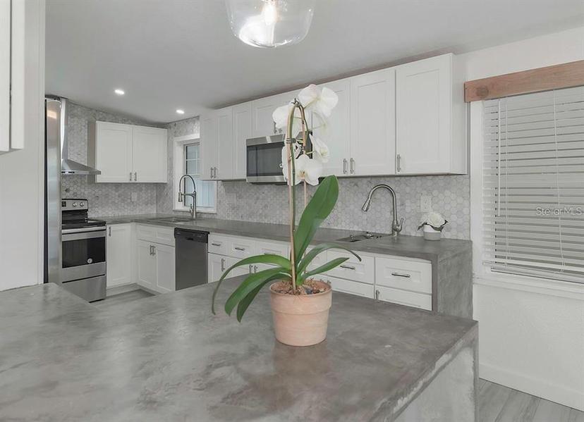 Picture of 1428 Illinois Avenue, Palm Harbor FL 34683
