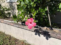 Picture of 2491 Candlewick Street, Deltona, FL 32738