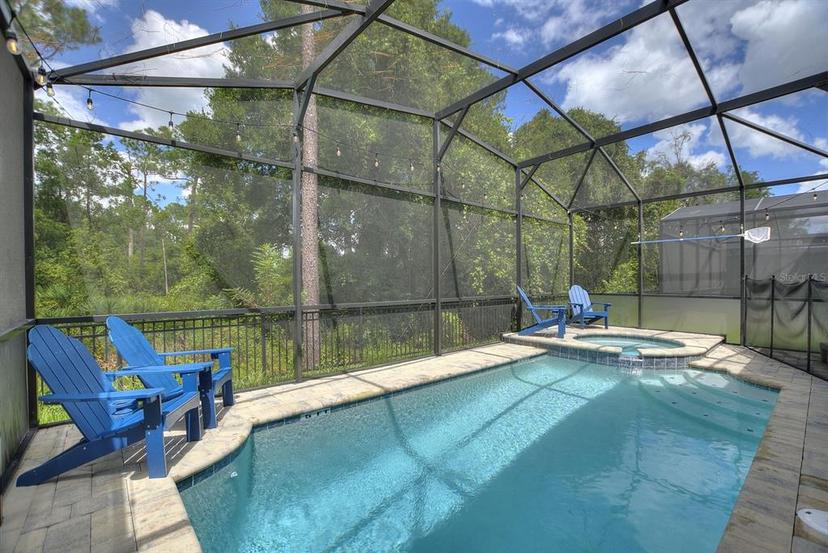 Picture of 8939 Coconut Breeze Drive, Kissimmee FL 34747