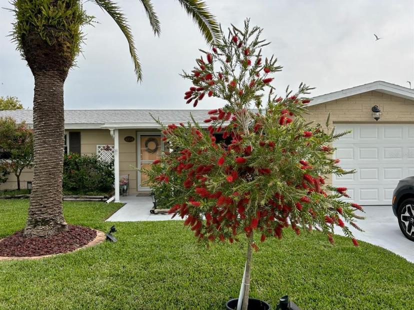 Picture of 1354 Linstock Drive, Holiday FL 34690