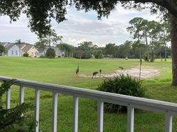 Picture of 584 Lake Drive, Titusville, FL 32780