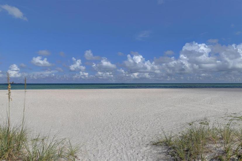 Picture of 1400 Gulf Boulevard Unit 801, Clearwater Beach FL 33767