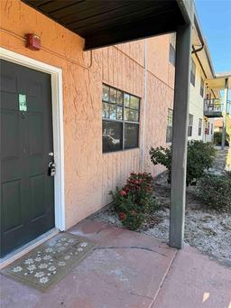 Picture of 12404 Orange Blossom Oak Place Unit 101, Tampa, FL 33612