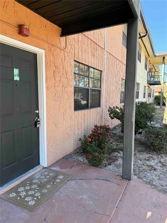 Picture of 12404 Orange Blossom Oak Place Unit 101, Tampa FL 33612