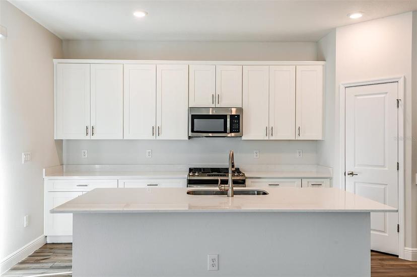 Picture of 10220 Surrey Rose Drive, San Antonio FL 33576