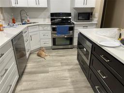 Picture of 4145 Harrisburg Street Ne, St Petersburg, FL 33703