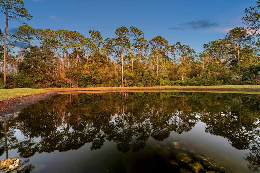 Picture of 11922 Greengate Drive, Hudson FL 34669