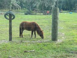 Picture of 353 Vannote Road, Pierson, FL 32180