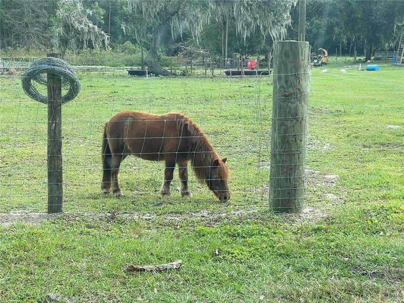Picture of 353 Vannote Road, Pierson FL 32180