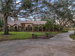Picture of 11201 Kerry Hills Court, Riverview, FL 33569