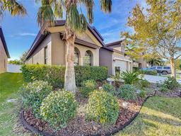 Picture of 11409 Drifting Leaf Drive, Riverview, FL 33579