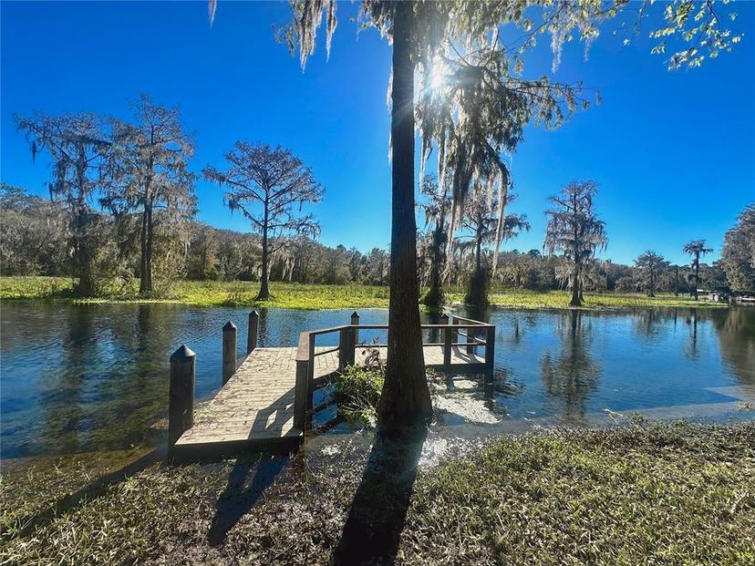 Picture of 12139 Palmetto Way, Dunnellon FL 34432