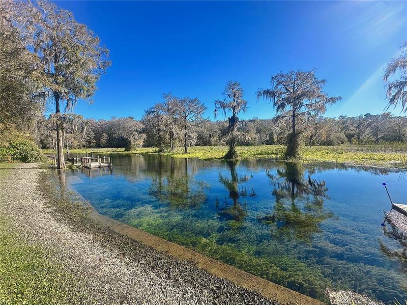 Picture of 12139 Palmetto Way, Dunnellon FL 34432
