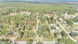 Picture of 14521 E Highway 316, Fort Mc Coy, FL 32134