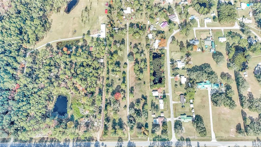 Picture of 14521 E Highway 316, Fort Mc Coy, FL 32134