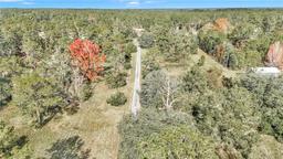 Picture of 14521 E Highway 316, Fort Mc Coy, FL 32134
