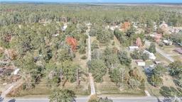 Picture of 14521 E Highway 316, Fort Mc Coy, FL 32134