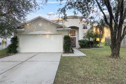 Picture of 18127 Sandy Pointe Drive, Tampa, FL 33647