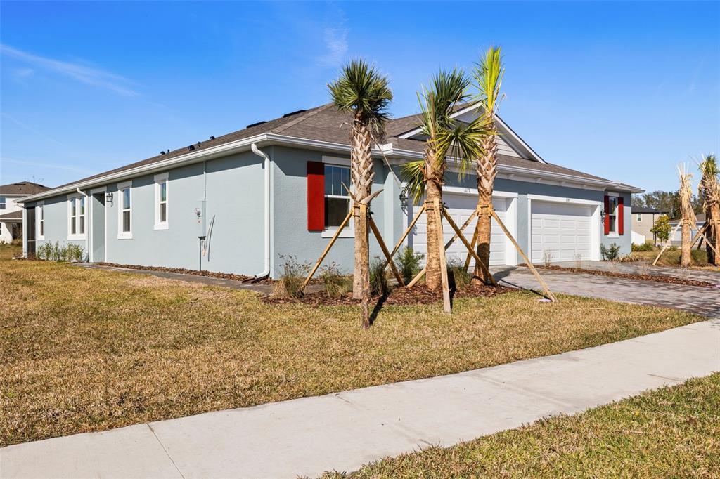 Picture of 6173 Timberdale Avenue, Wesley Chapel, FL 33545