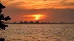 Picture of 333 N Shore Drive, Sarasota, FL 34234