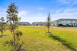 Picture of 31386 Amberview Bend, Wesley Chapel, FL 33545