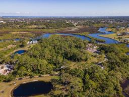 Picture of 1390 Tumblin Drive, New Smyrna Beach, FL 32168
