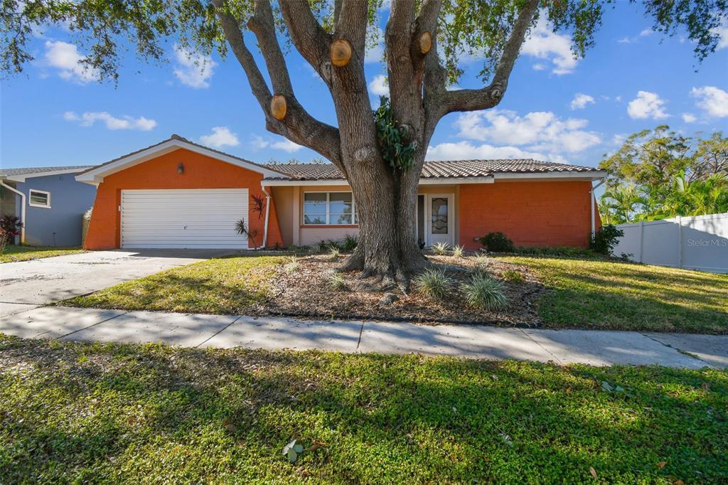 Picture of 465 Meadowlark Lane, Palm Harbor, FL 34683