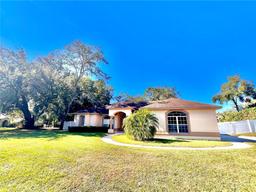 Picture of 906 Liveoak Leaf Court, Apopka, FL 32712