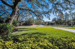 Picture of 11409 Donneymoor Drive, Riverview, FL 33569