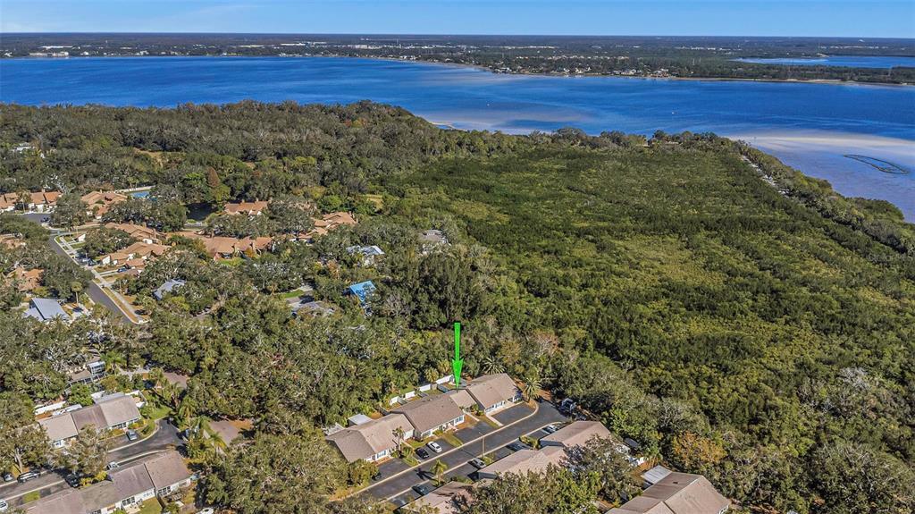 Picture of 381 Estero Court, Safety Harbor, FL 34695