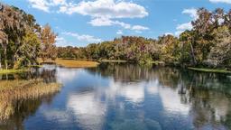 Picture of 9163 SW 186Th Terrace, Dunnellon, FL 34432