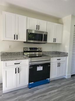 Picture of 1302 E Annie Street, Tampa, FL 33612