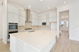 Picture of 1070 Signet Drive, Apollo Beach, FL 33572