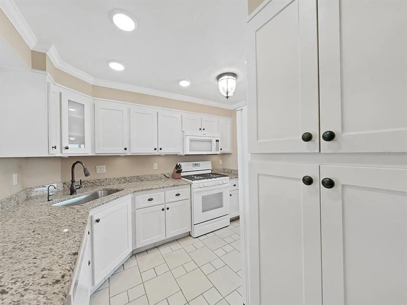 Picture of 6060 Shore Boulevard S Unit 1008, Gulfport FL 33707