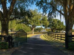 Picture of 901 SW 87Th Place, Ocala, FL 34476