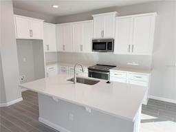 Picture of 576 Pothos Street, Apopka, FL 32703