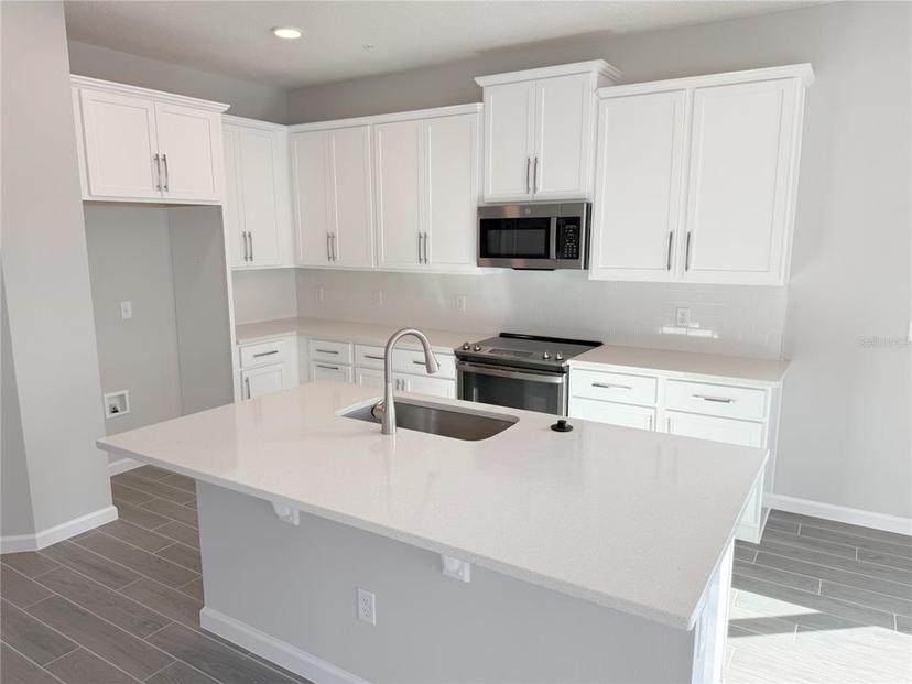 Picture of 576 Pothos Street, Apopka FL 32703