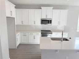 Picture of 576 Pothos Street, Apopka, FL 32703
