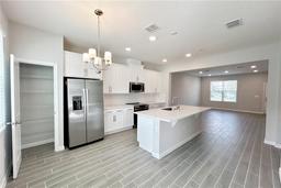 Picture of 727 Pilea Street, Apopka, FL 32703