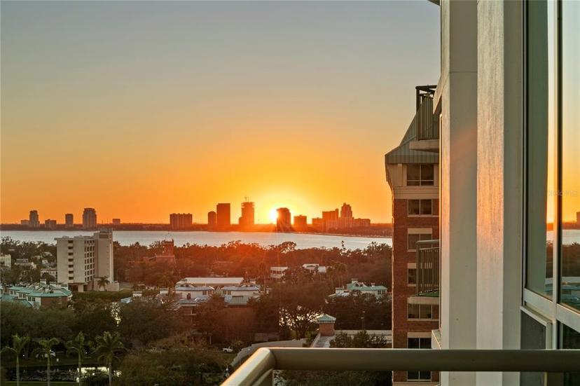 Picture of 450 Knights Run Avenue Unit 1102, Tampa FL 33602