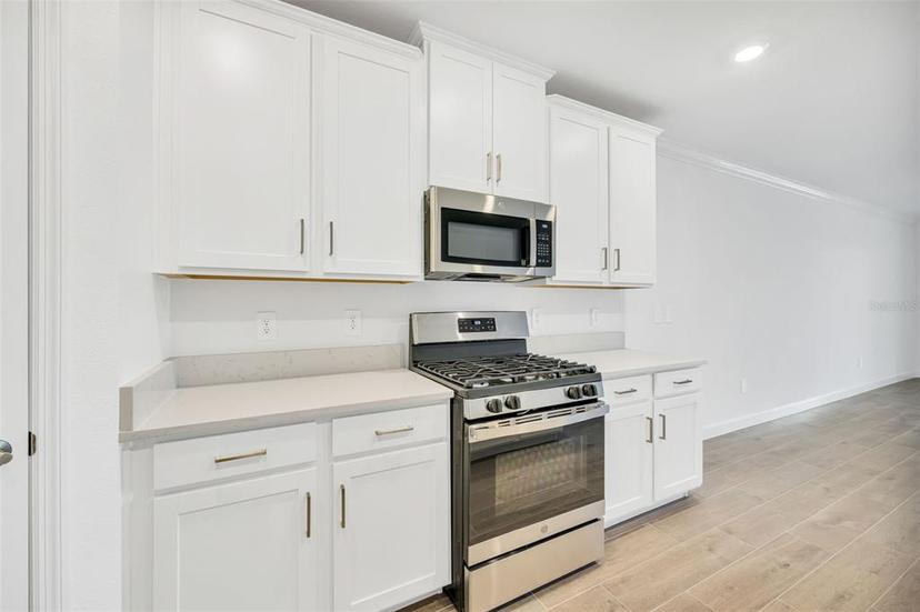Picture of 17523 Holly Well Avenue, Wimauma FL 33598