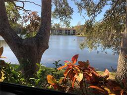 Picture of 3480 Hillmoor Drive, Palm Harbor, FL 34685