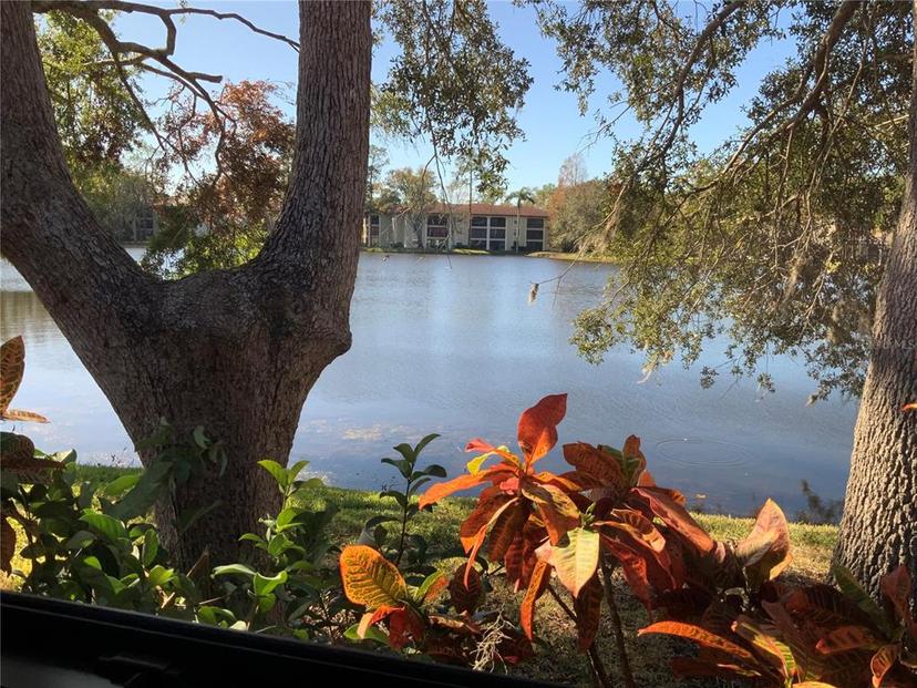 Picture of 3480 Hillmoor Drive, Palm Harbor FL 34685