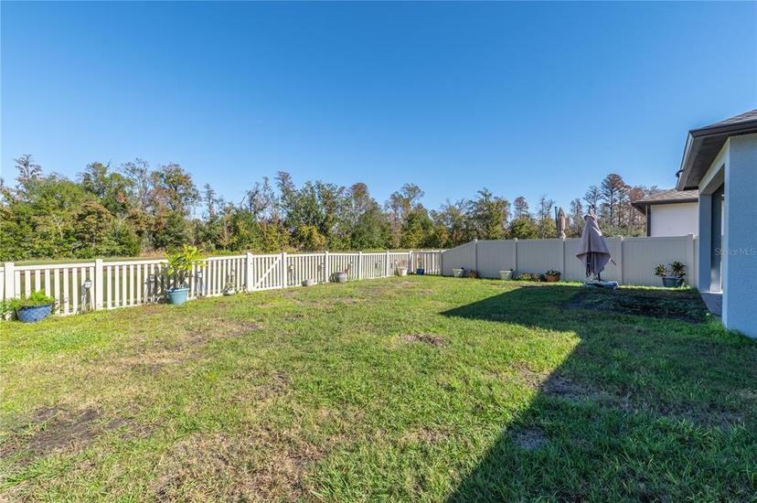 Picture of 9904 Wild Begonia Loop, Land O Lakes FL 34637